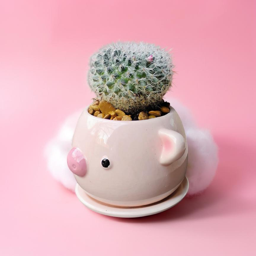 Prickly Pig Planter - Image 4