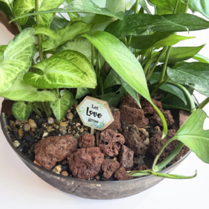 Serenity Dish Garden Bowl