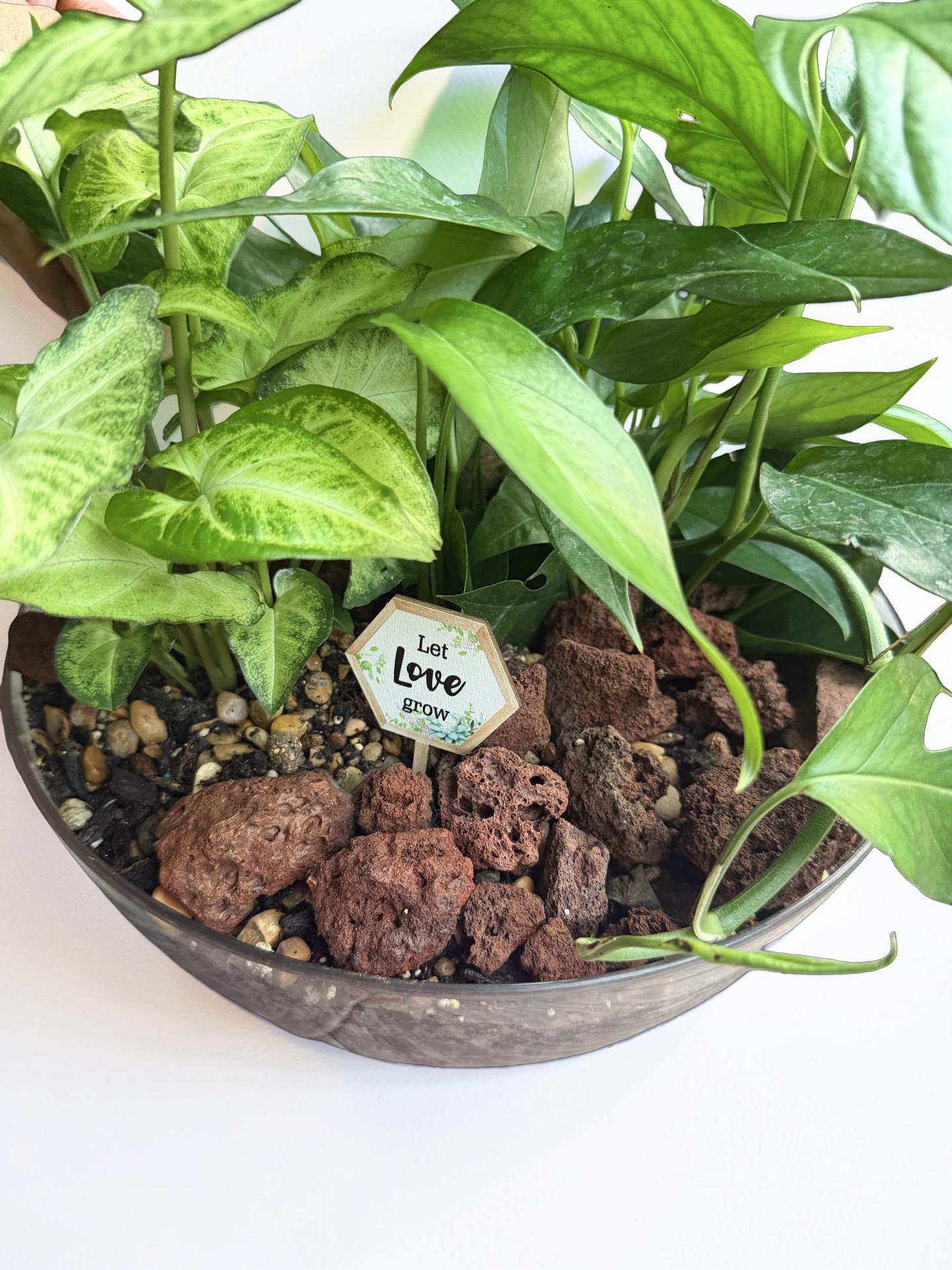 Serenity Dish Garden Bowl