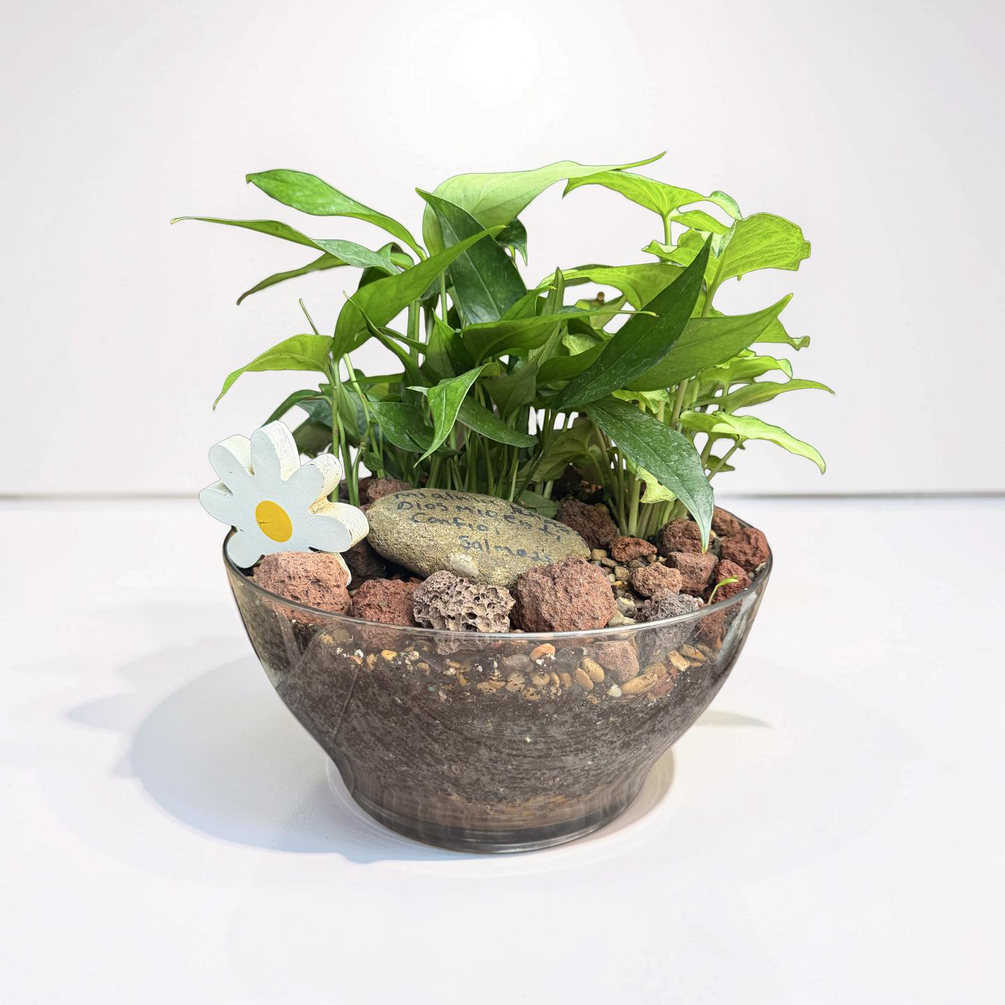 Serenity Dish Garden Bowl - Image 5